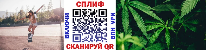 Где купить наркотики Ковров APVP МЕФ Кокаин Гашиш АМФЕТАМИН Каннабис
