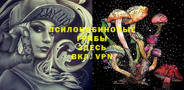 бошки Алзамай