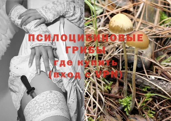 марки nbome Абаза