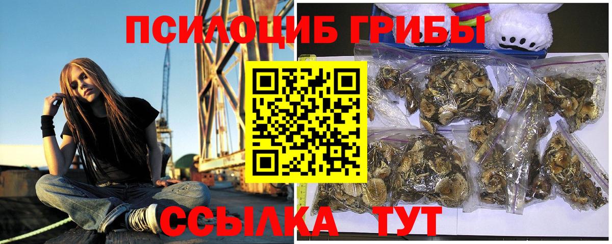 Галлюциногенные грибы мицелий Ковров