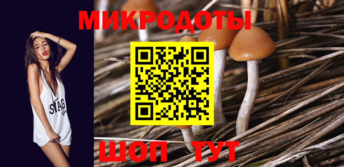 Ковров  Псилоцибиновые грибы мицелий  Вход с VPN 